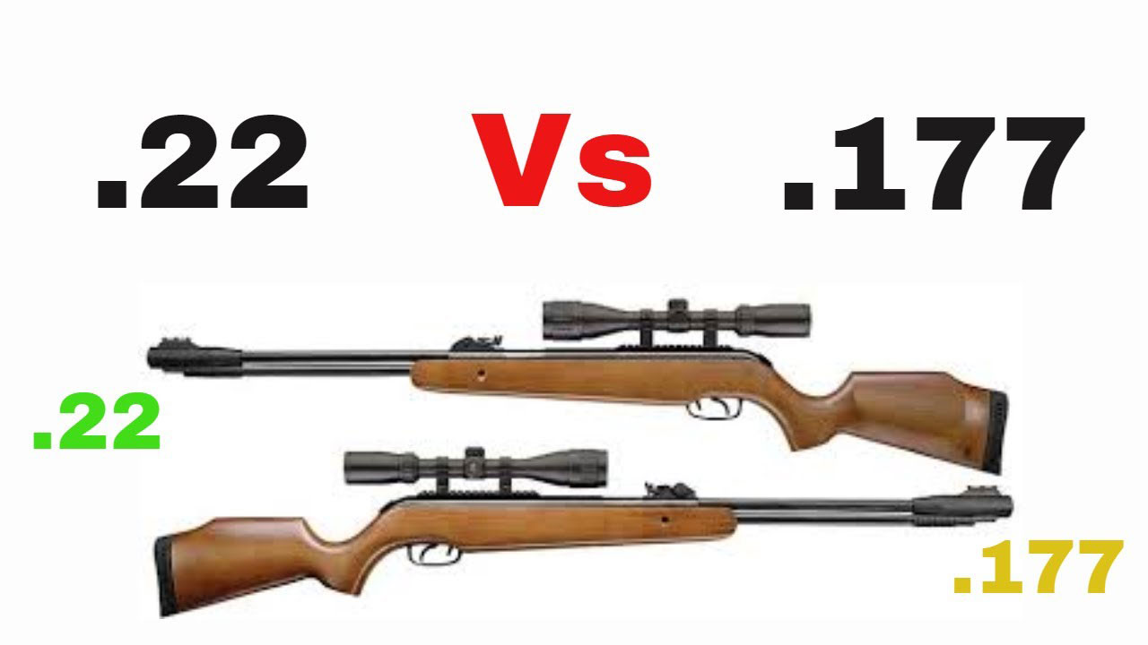 7 Best 22 Air Rifles Reviews And Unbiased Guide 2021 6332